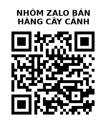 QR Code của URL hiện tại
