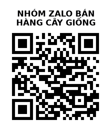 QR Code của URL hiện tại