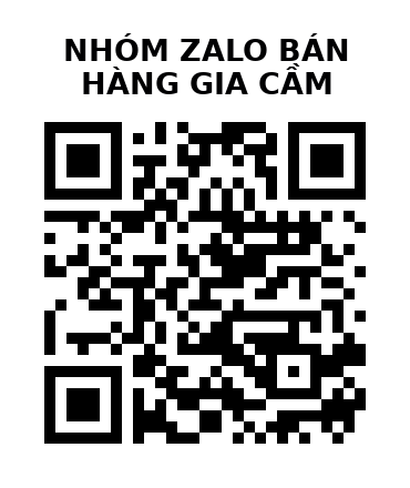 QR Code của URL hiện tại