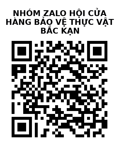 QR Code của URL hiện tại