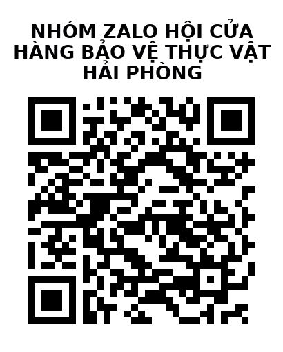 QR Code của URL hiện tại