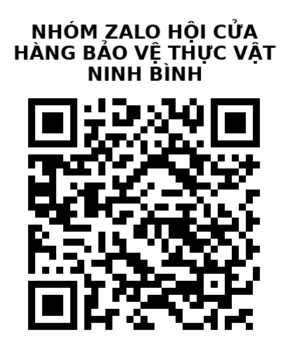 QR Code của URL hiện tại