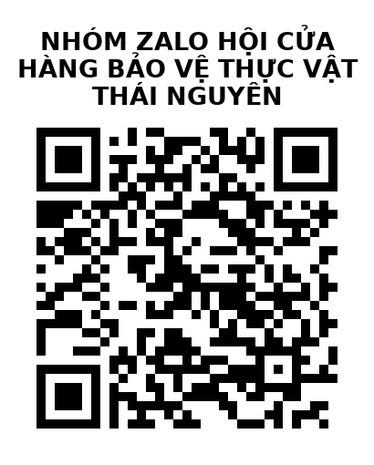 QR Code của URL hiện tại