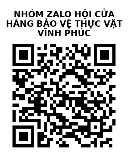 QR Code của URL hiện tại