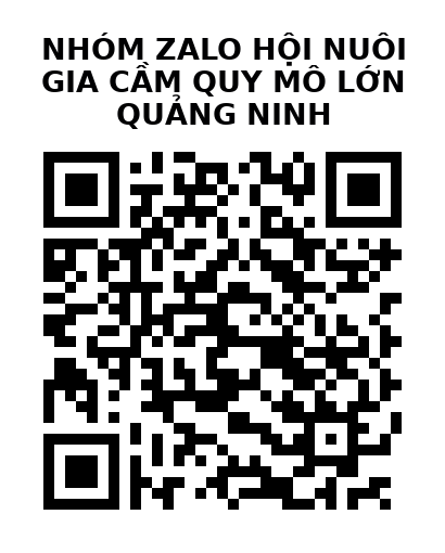 QR Code của URL hiện tại