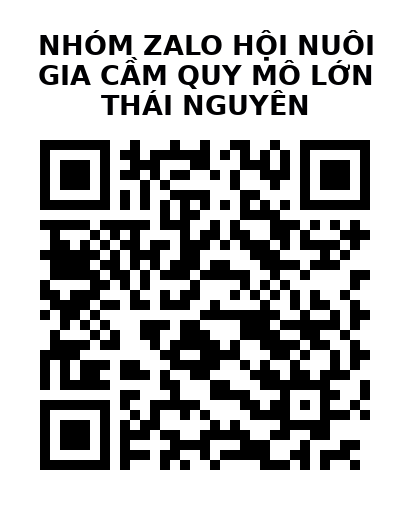 QR Code của URL hiện tại