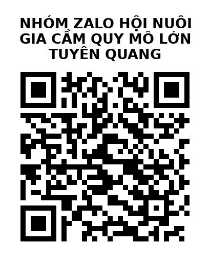 QR Code của URL hiện tại