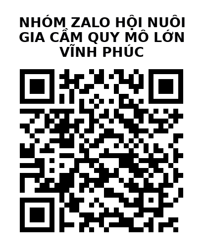 QR Code của URL hiện tại