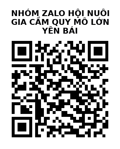 QR Code của URL hiện tại