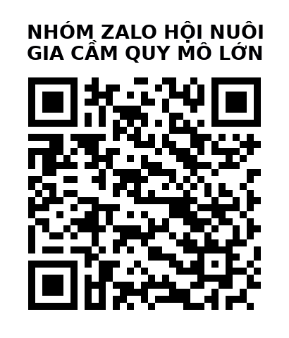 QR Code của URL hiện tại