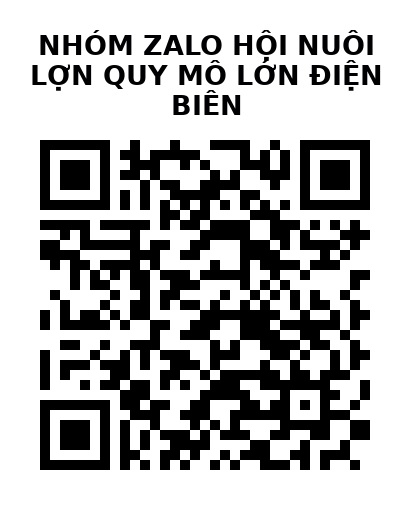 QR Code của URL hiện tại