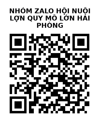 QR Code của URL hiện tại