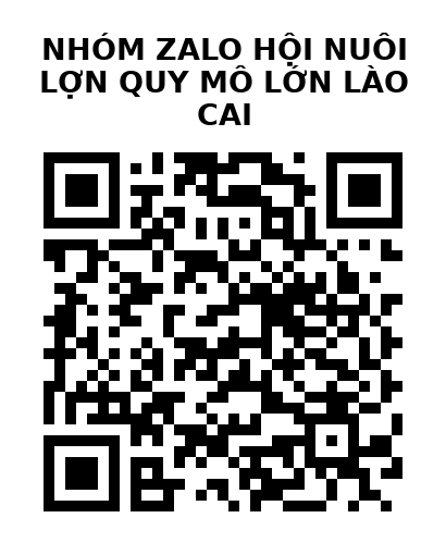QR Code của URL hiện tại