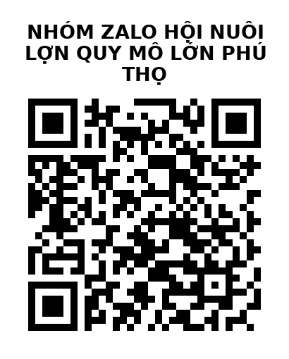 QR Code của URL hiện tại