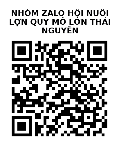 QR Code của URL hiện tại