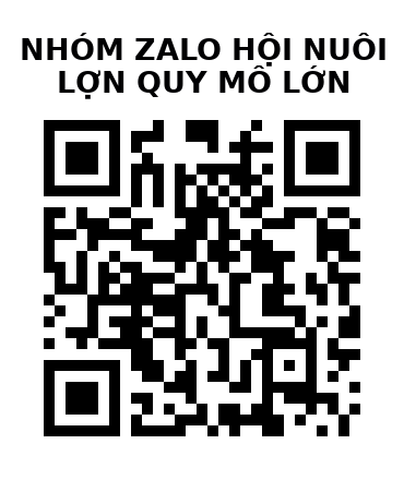 QR Code của URL hiện tại