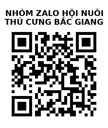 QR Code của URL hiện tại