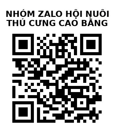 QR Code của URL hiện tại