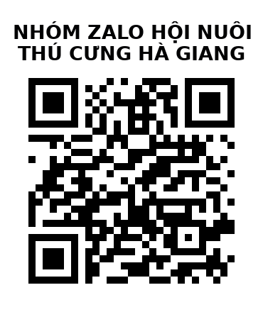 QR Code của URL hiện tại