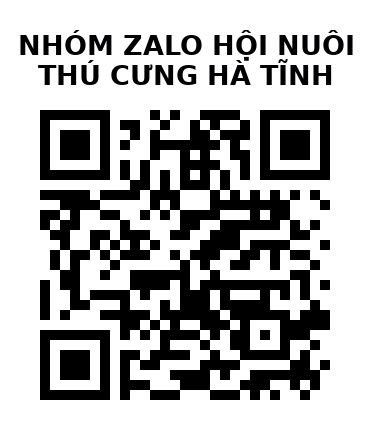 QR Code của URL hiện tại