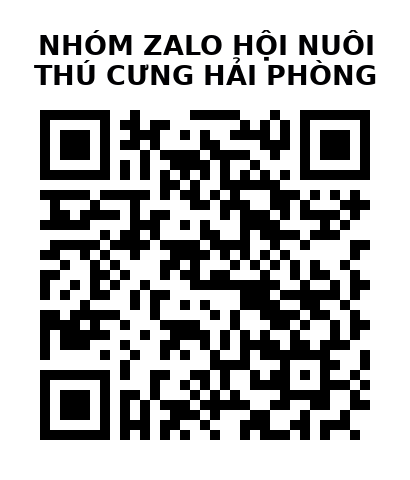 QR Code của URL hiện tại