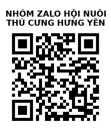 QR Code của URL hiện tại