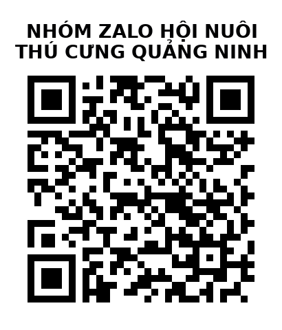 QR Code của URL hiện tại