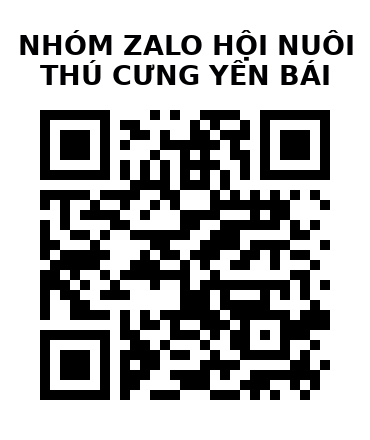 QR Code của URL hiện tại