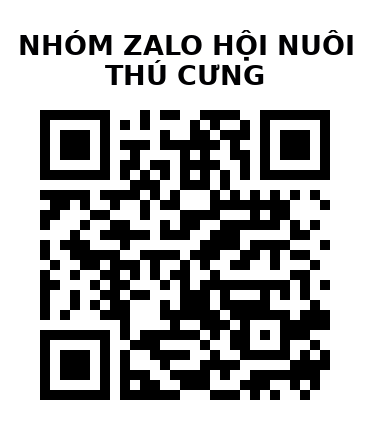 QR Code của URL hiện tại