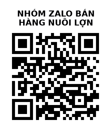 QR Code của URL hiện tại