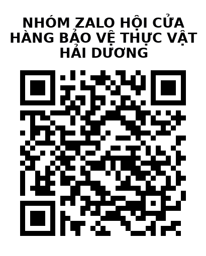 QR Code của URL hiện tại
