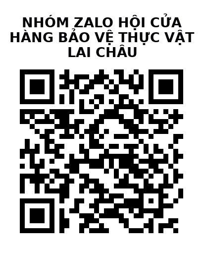 QR Code của URL hiện tại