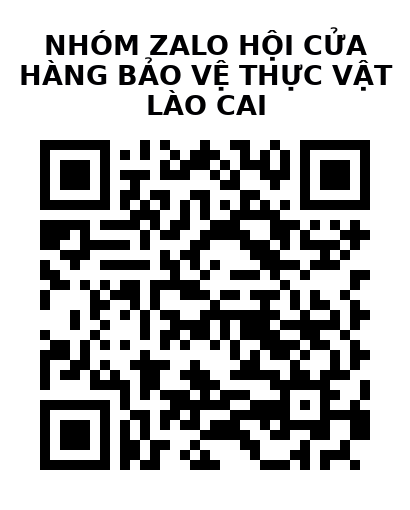 QR Code của URL hiện tại