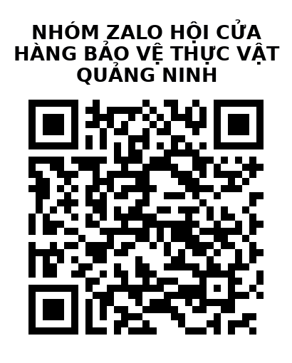 QR Code của URL hiện tại