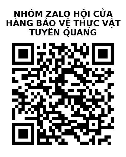 QR Code của URL hiện tại