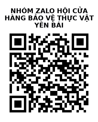 QR Code của URL hiện tại