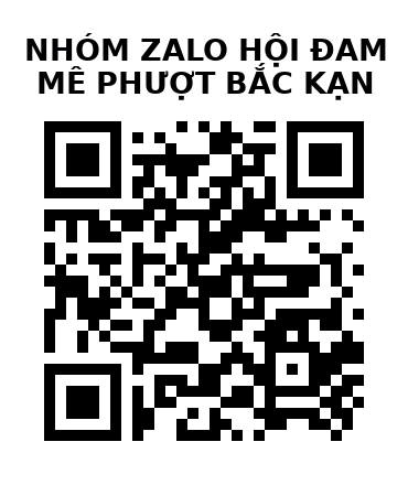 QR Code của URL hiện tại