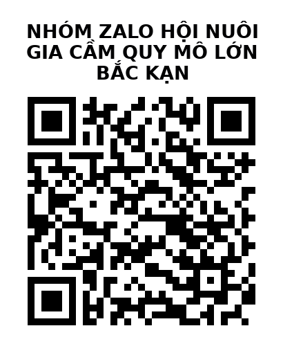QR Code của URL hiện tại