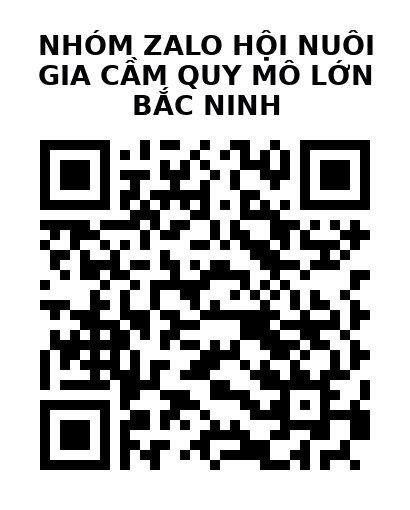 QR Code của URL hiện tại