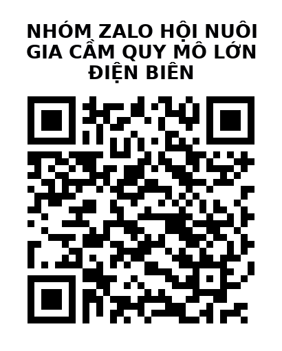 QR Code của URL hiện tại