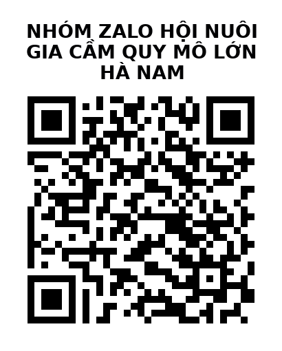 QR Code của URL hiện tại