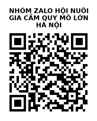 QR Code của URL hiện tại