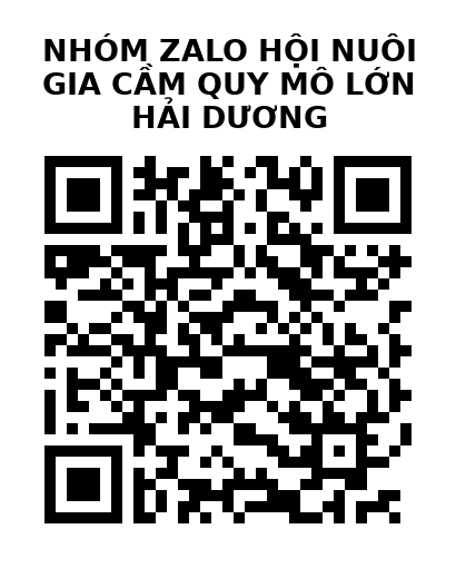 QR Code của URL hiện tại