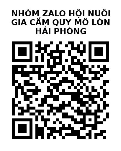 QR Code của URL hiện tại