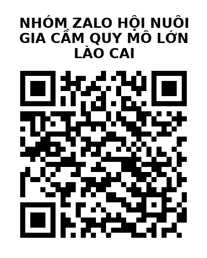 QR Code của URL hiện tại