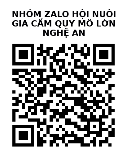 QR Code của URL hiện tại