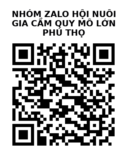 QR Code của URL hiện tại