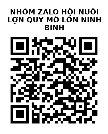 QR Code của URL hiện tại