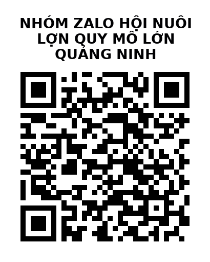 QR Code của URL hiện tại