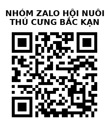 QR Code của URL hiện tại